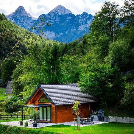 Radovna Chalet With Panoramic View 莫斯特拉纳 外观 照片