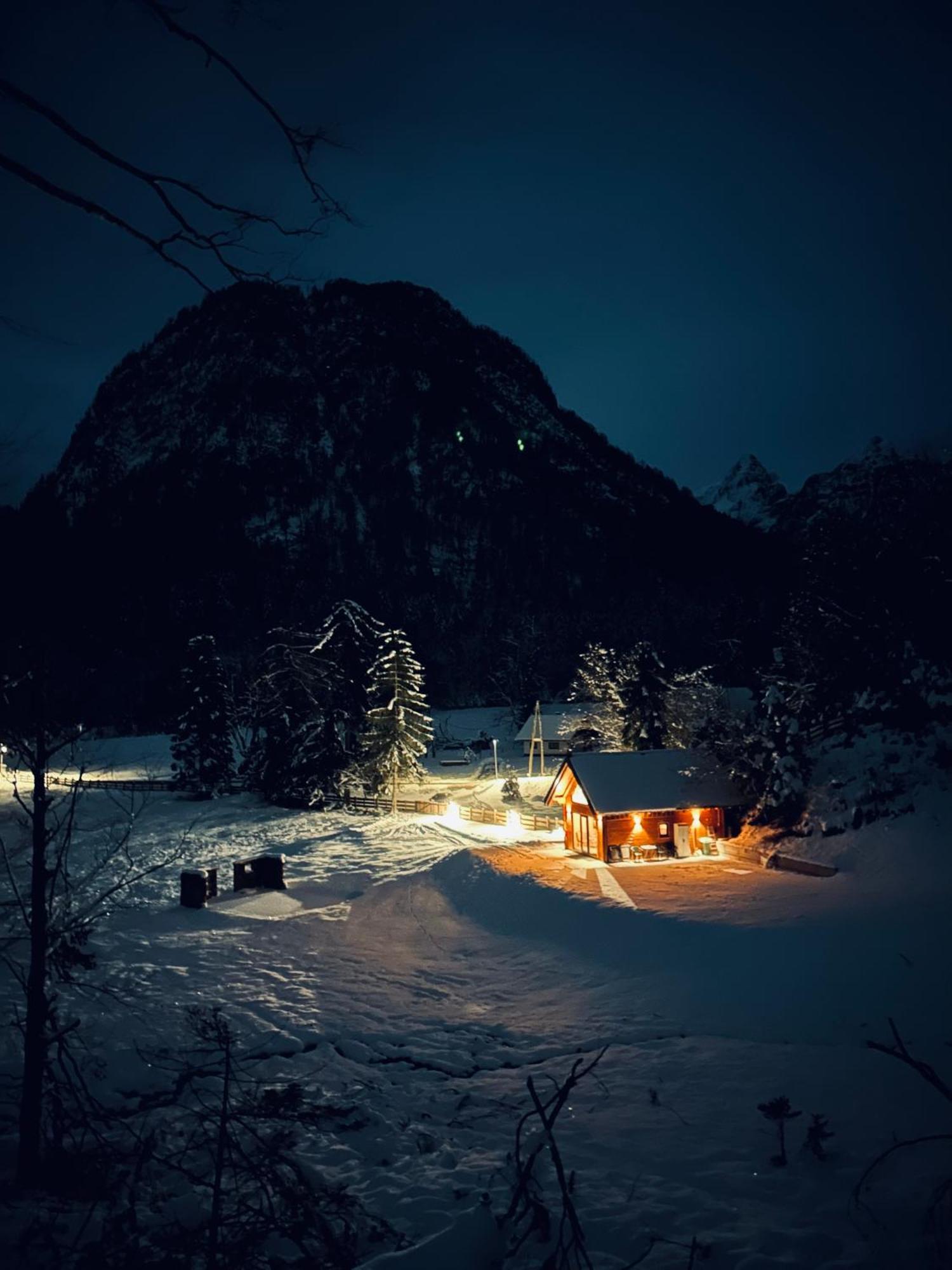 Radovna Chalet With Panoramic View 莫斯特拉纳 外观 照片